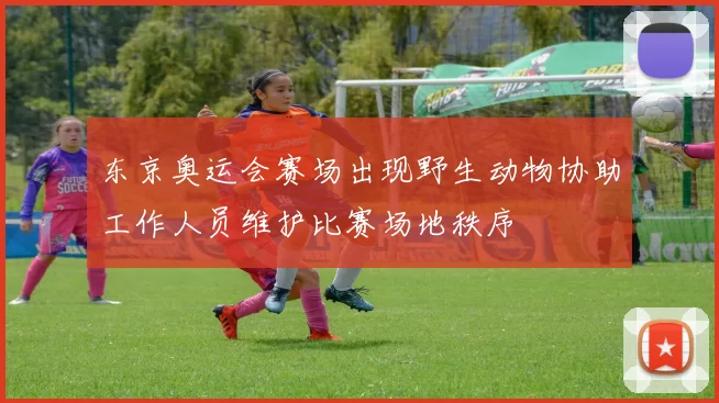 东京奥运会赛场出现野生动物协助工作人员维护比赛场地秩序