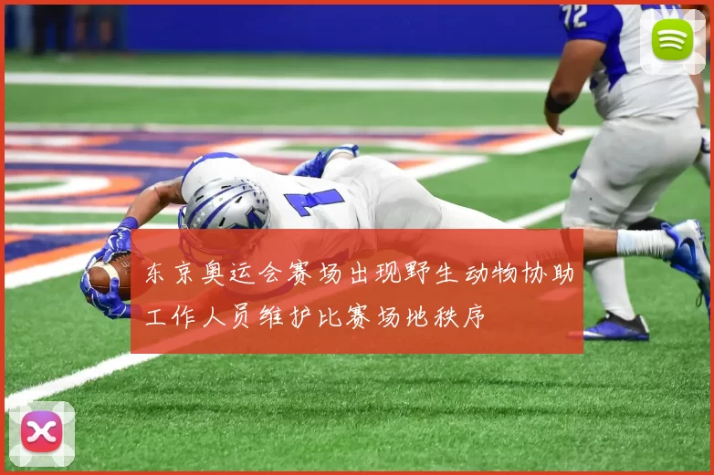 东京奥运会赛场出现野生动物协助工作人员维护比赛场地秩序