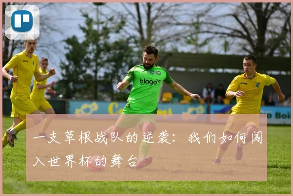 一支草根战队的逆袭：我们如何闯入世界杯的舞台