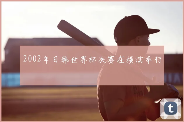 2002年日韩世界杯决赛在横滨举行